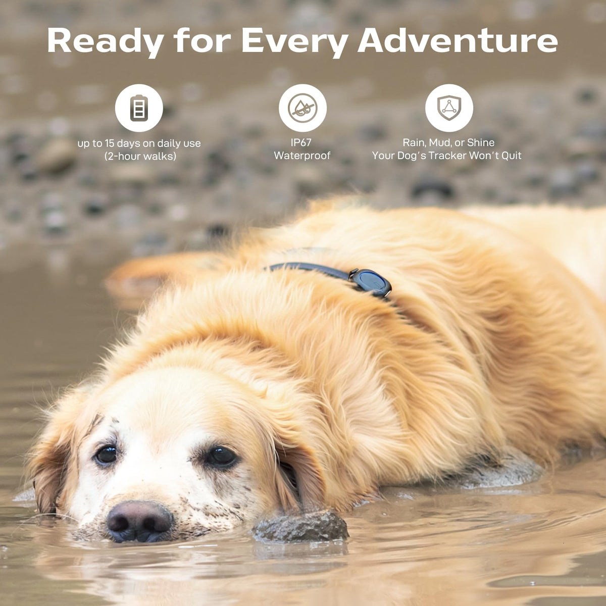 Off-Grid GPS Dog Tracker