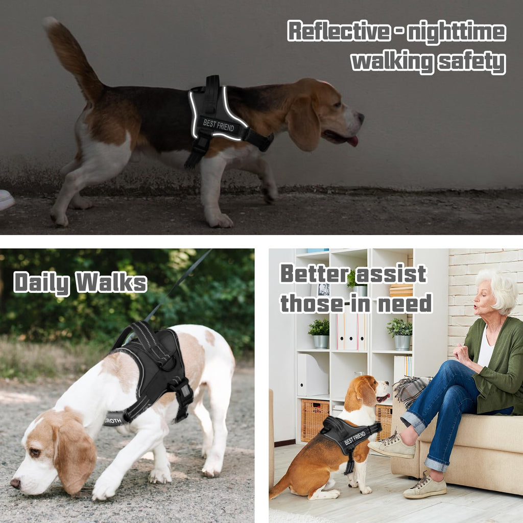 Padded Dog Harness & Leash Set