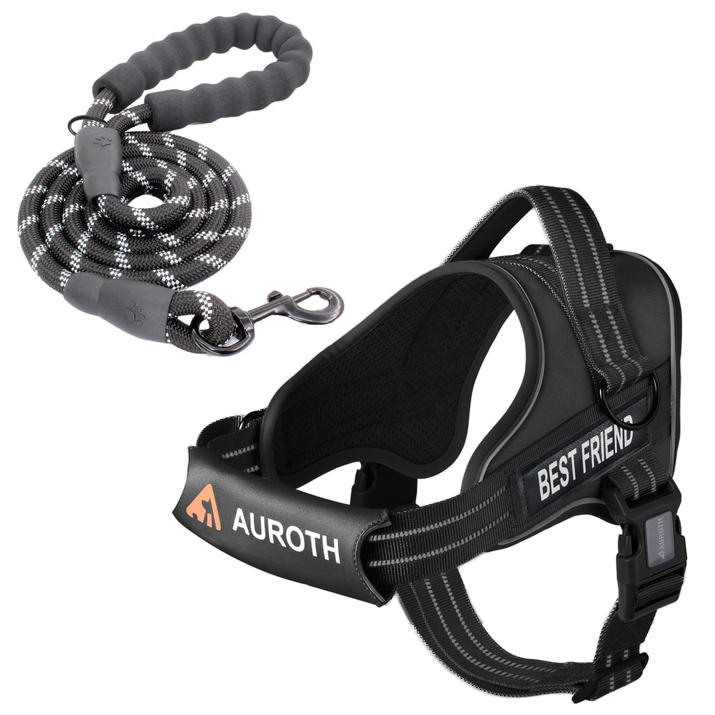 Padded Dog Harness & Leash Set