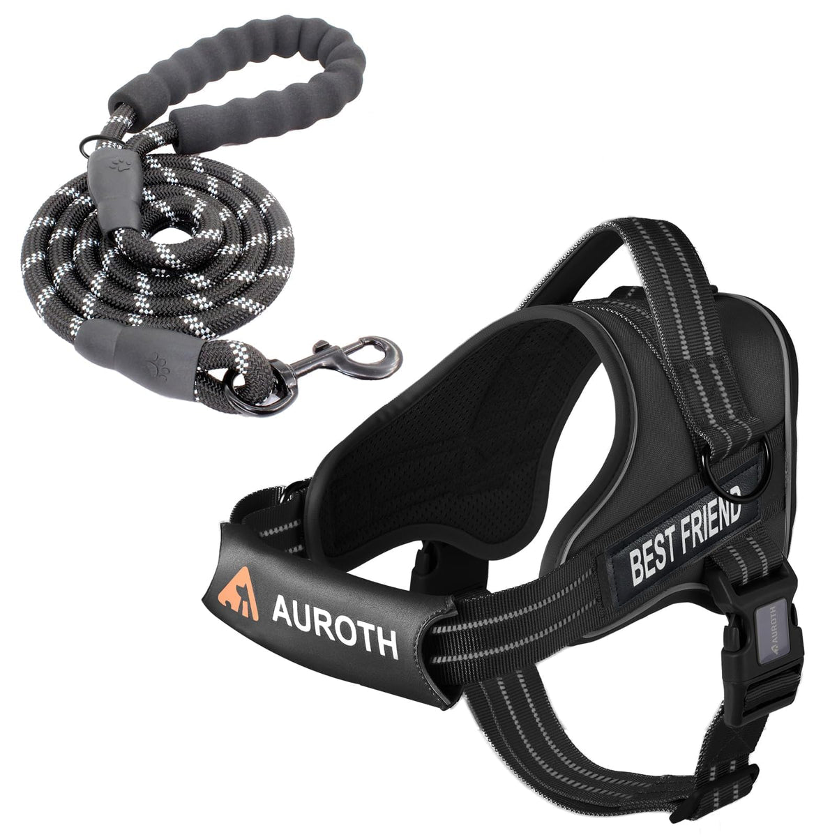 Padded Dog Harness & Leash Set