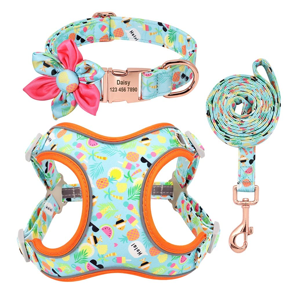 Personalized Dog Harness Vest