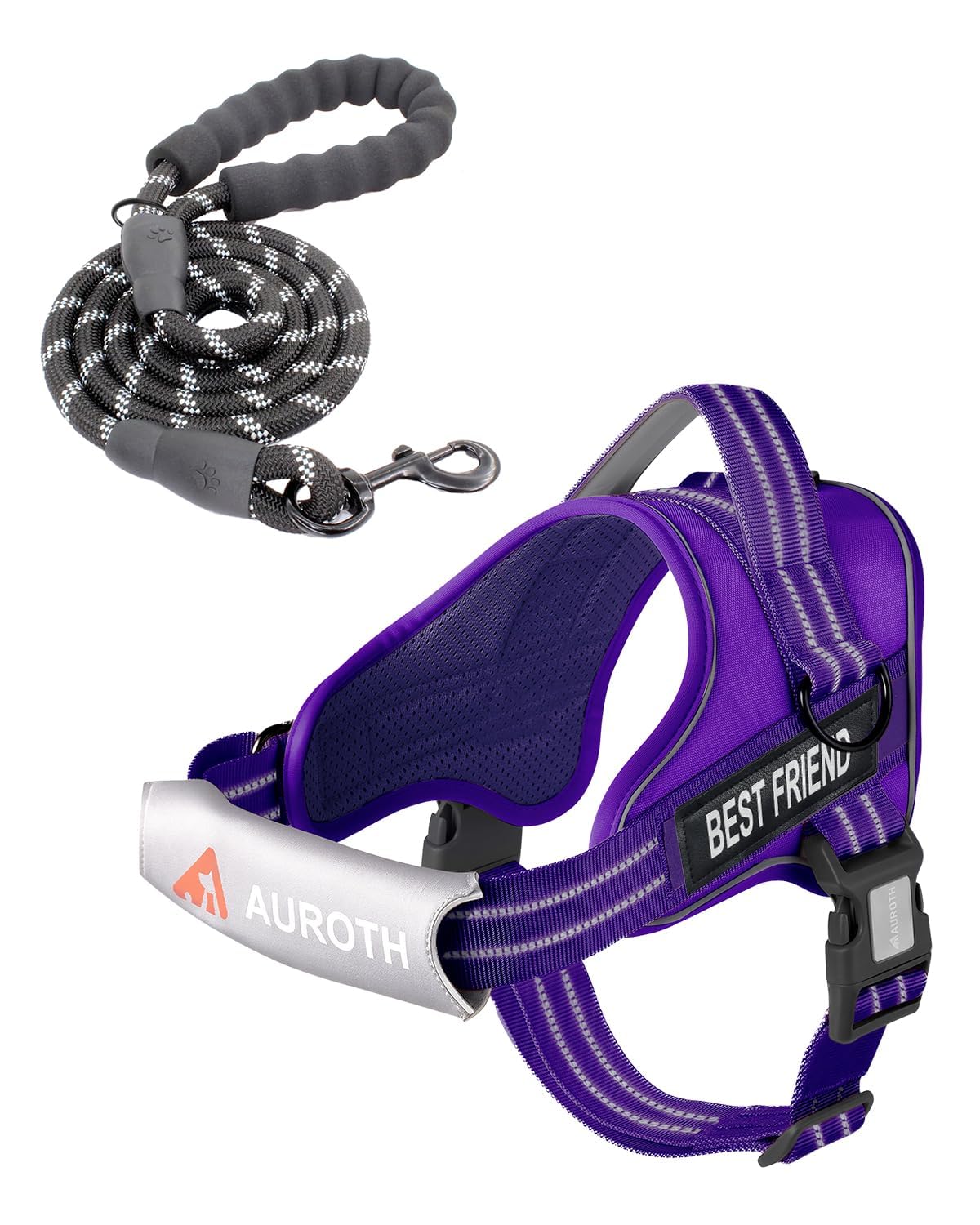 Padded Dog Harness & Leash Set