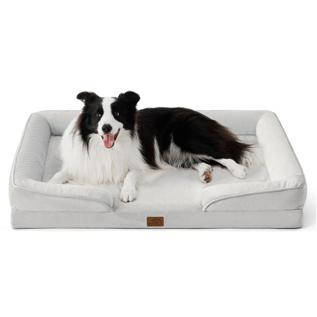 Bolstered Foam Dog Bed
