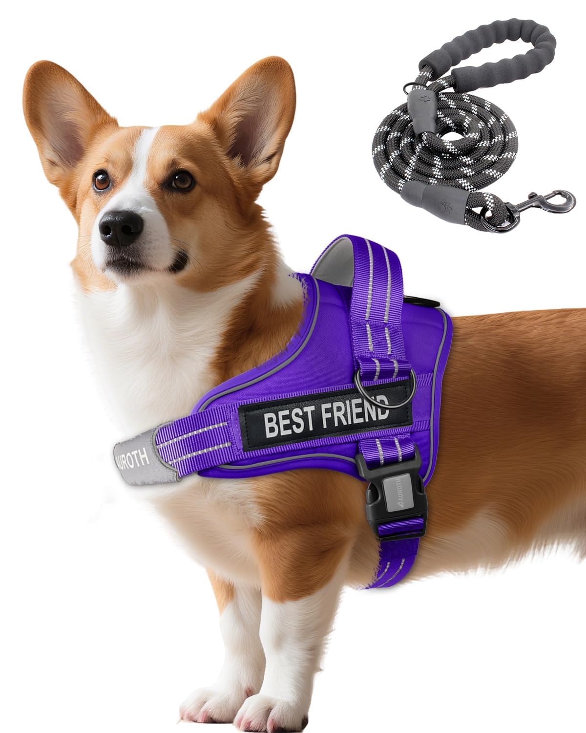 Padded Dog Harness & Leash Set