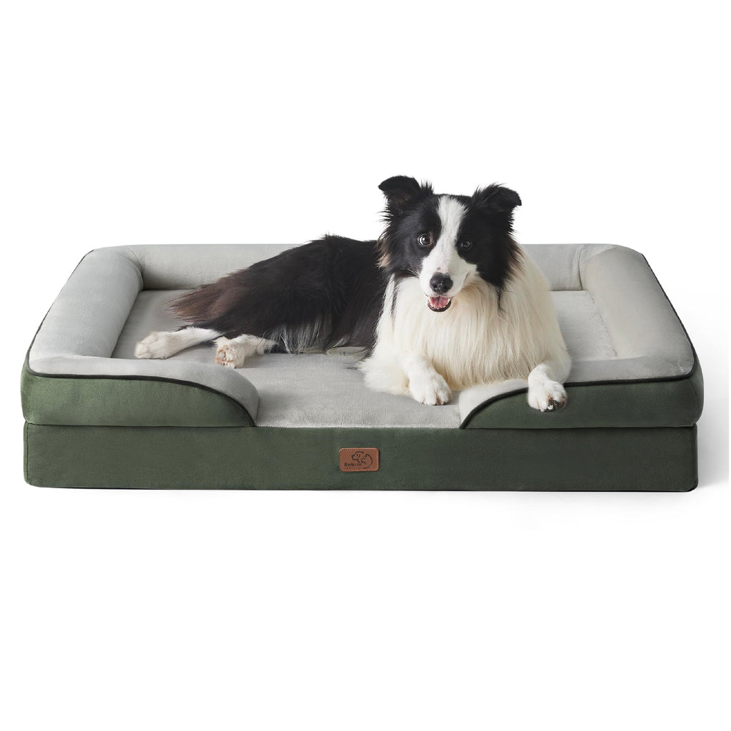 Bolstered Foam Dog Bed