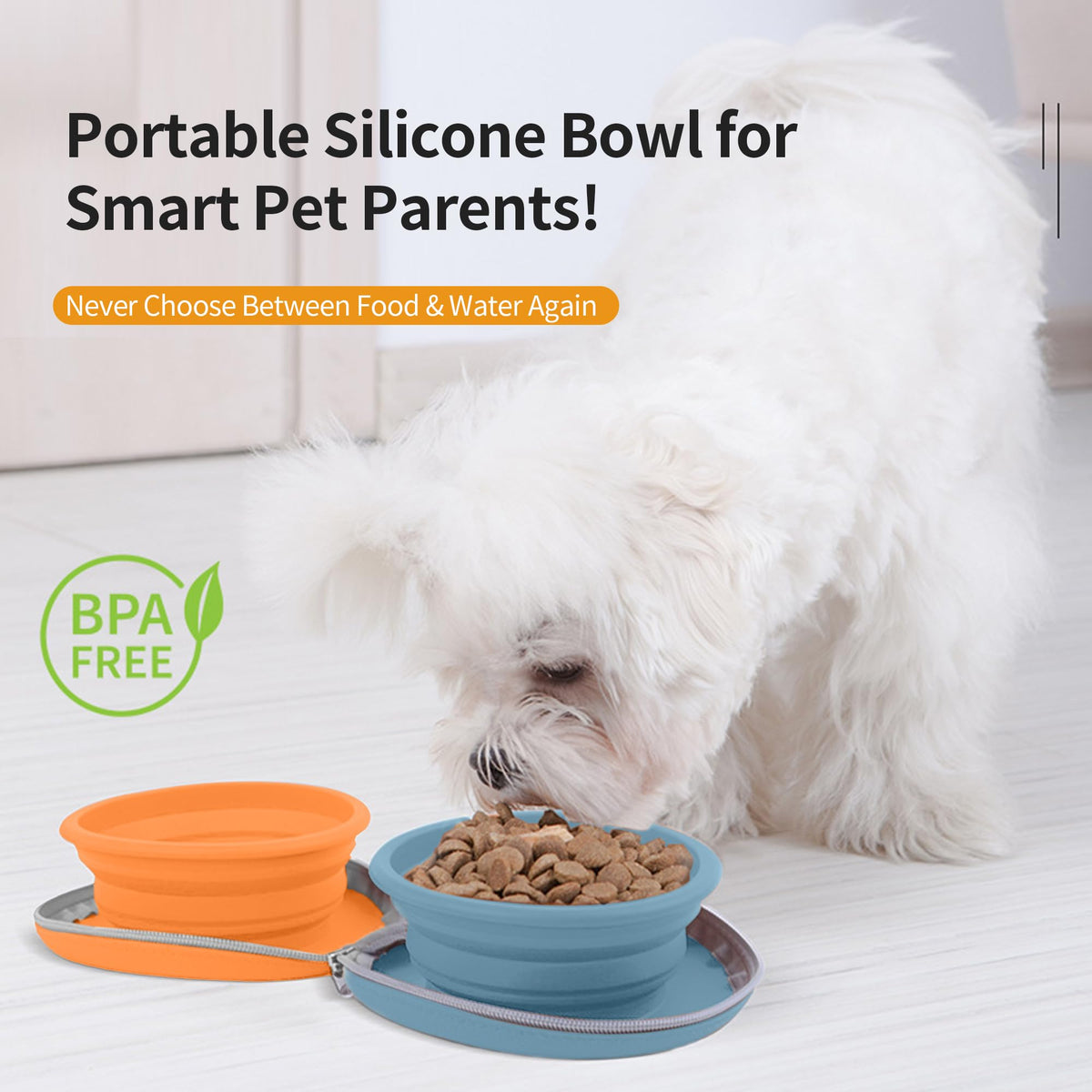 2-in-1 Collapsible Pet Travel Bowl