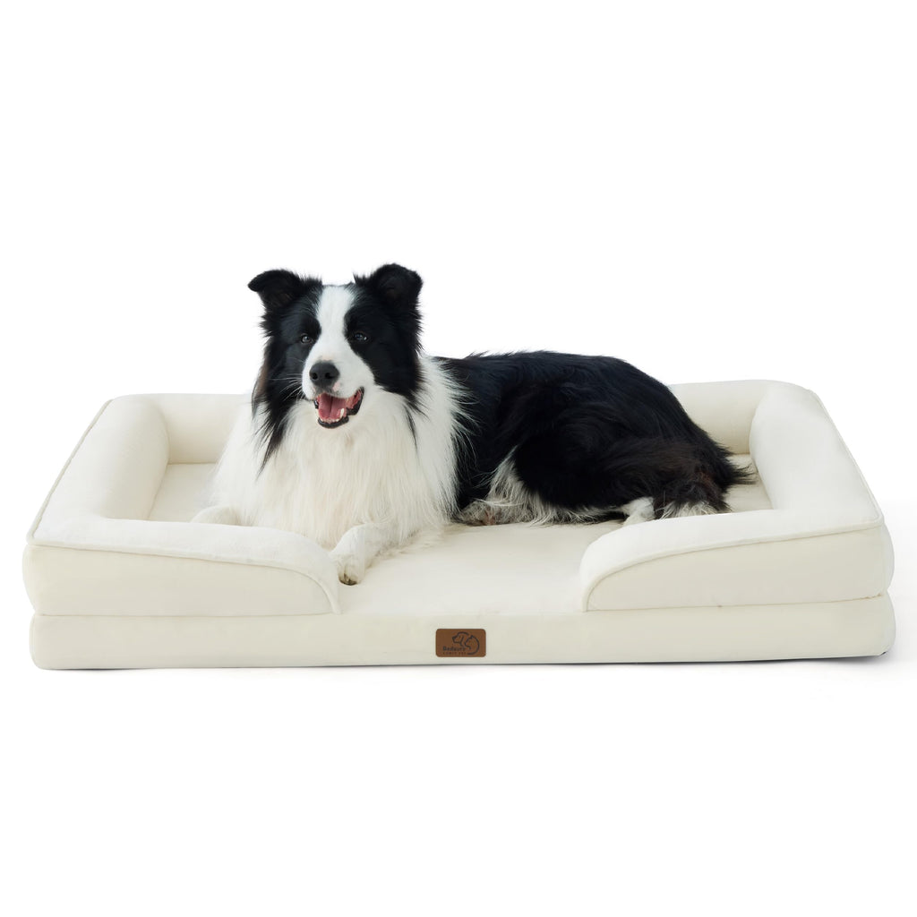 Bolstered Foam Dog Bed