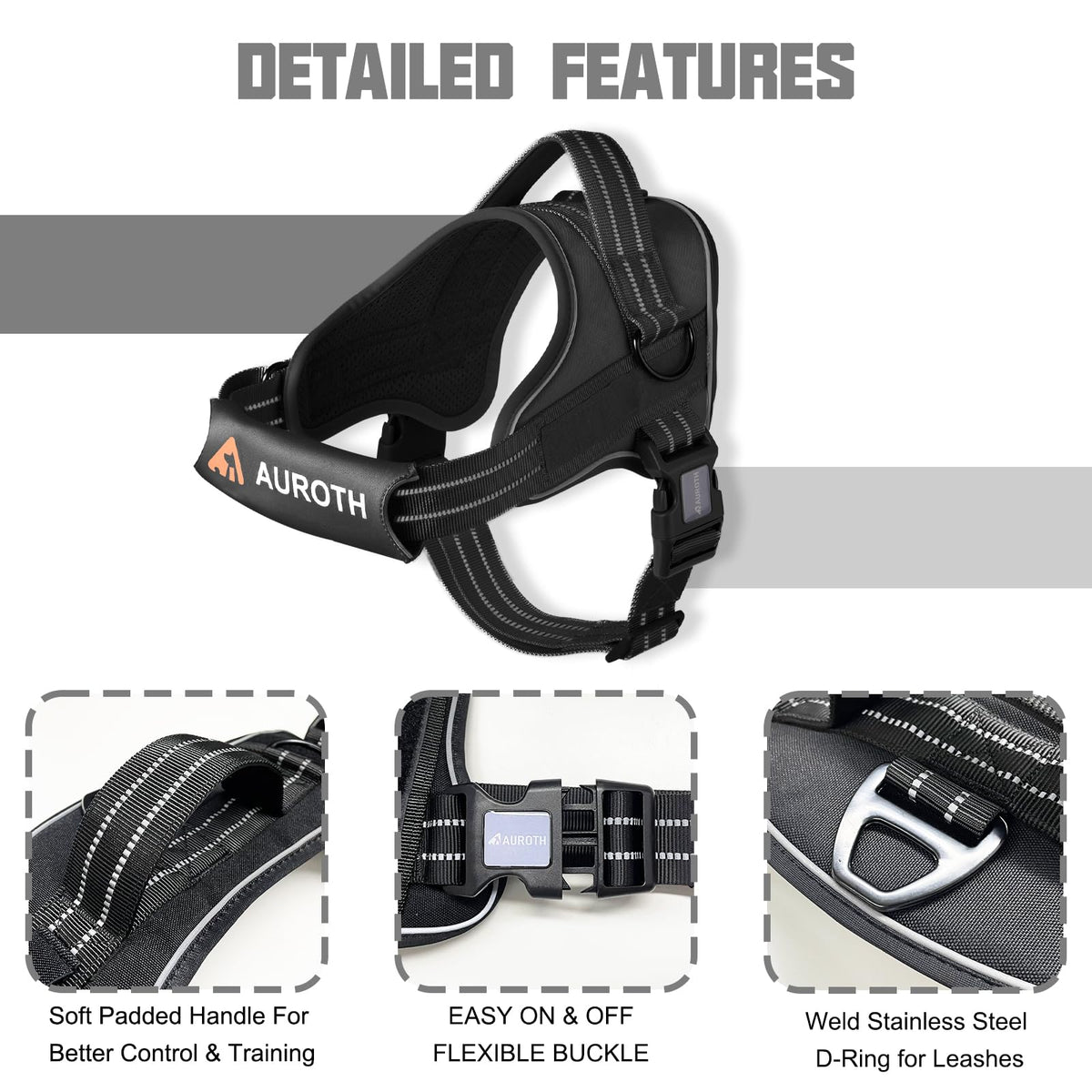 Padded Dog Harness & Leash Set