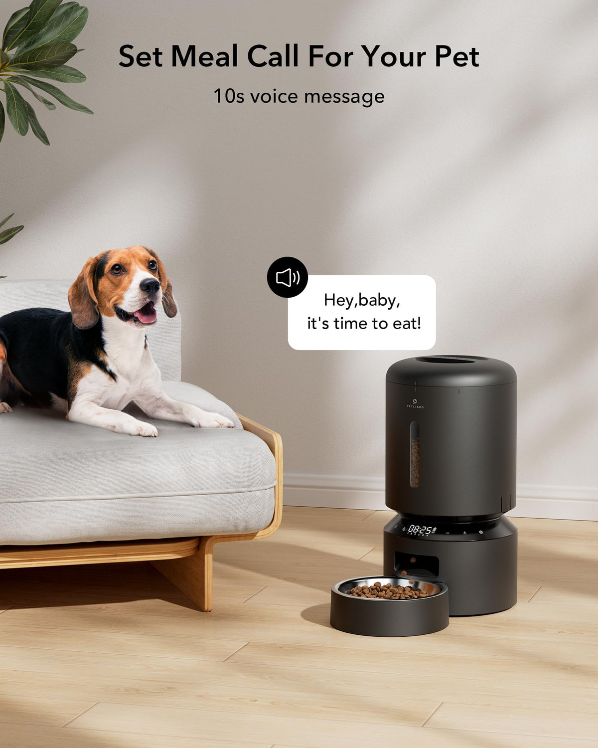 5L Dual-Bowl Automatic Feeder