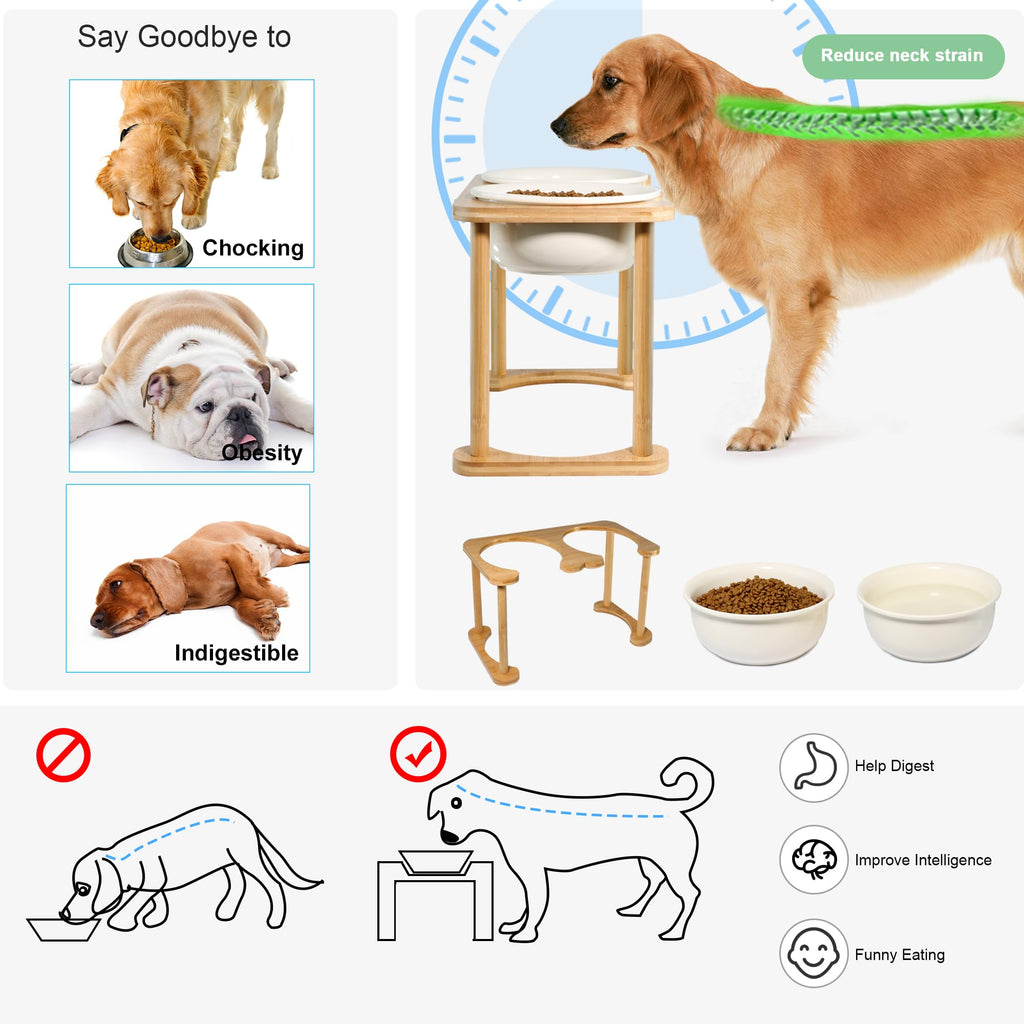 Raised Ceramic Dog Bowl Set