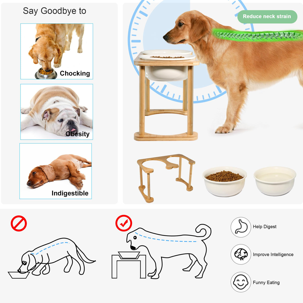 Raised Ceramic Dog Bowl Set
