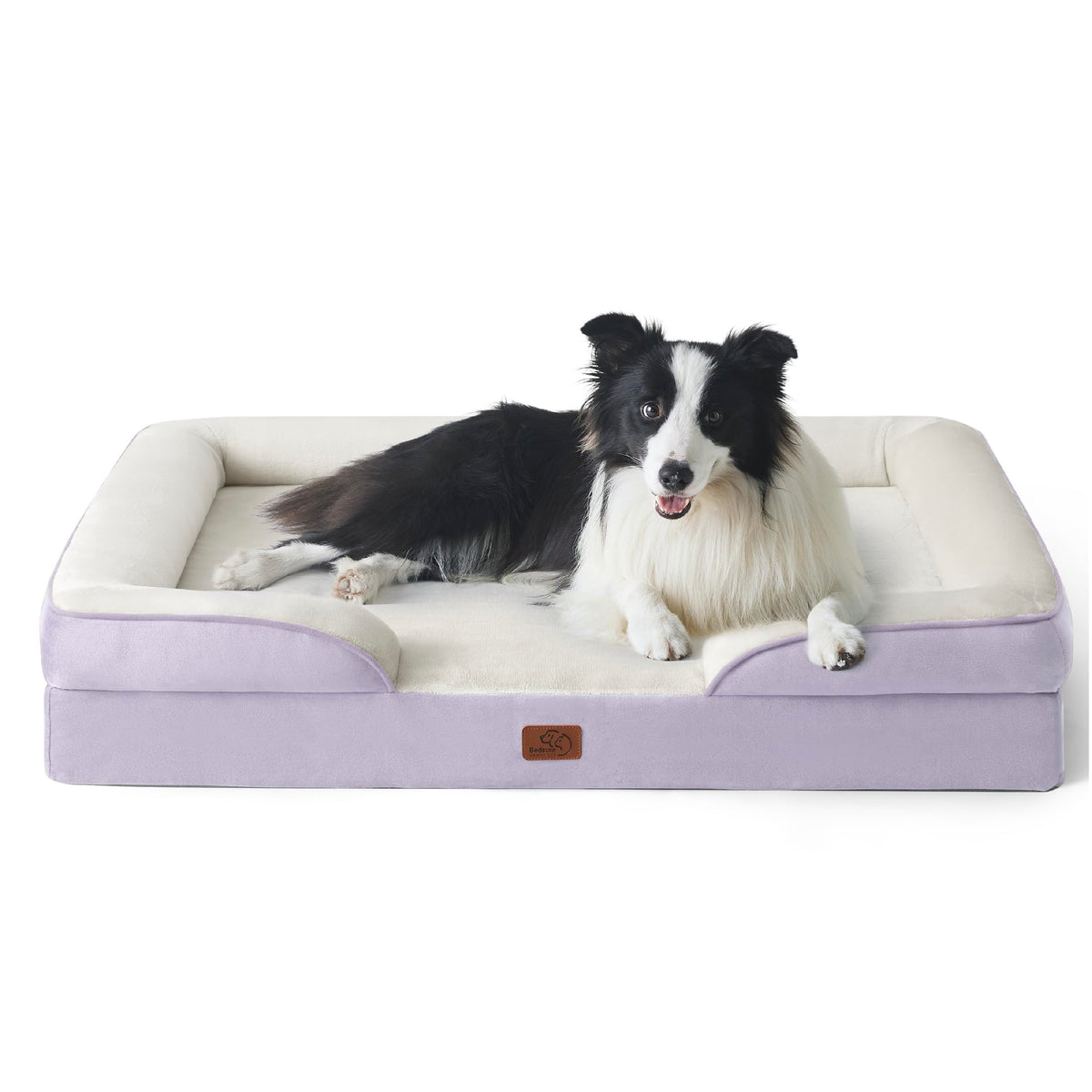 Bolstered Foam Dog Bed