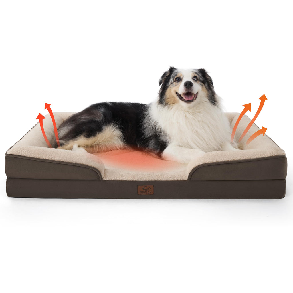 Bolstered Foam Dog Bed