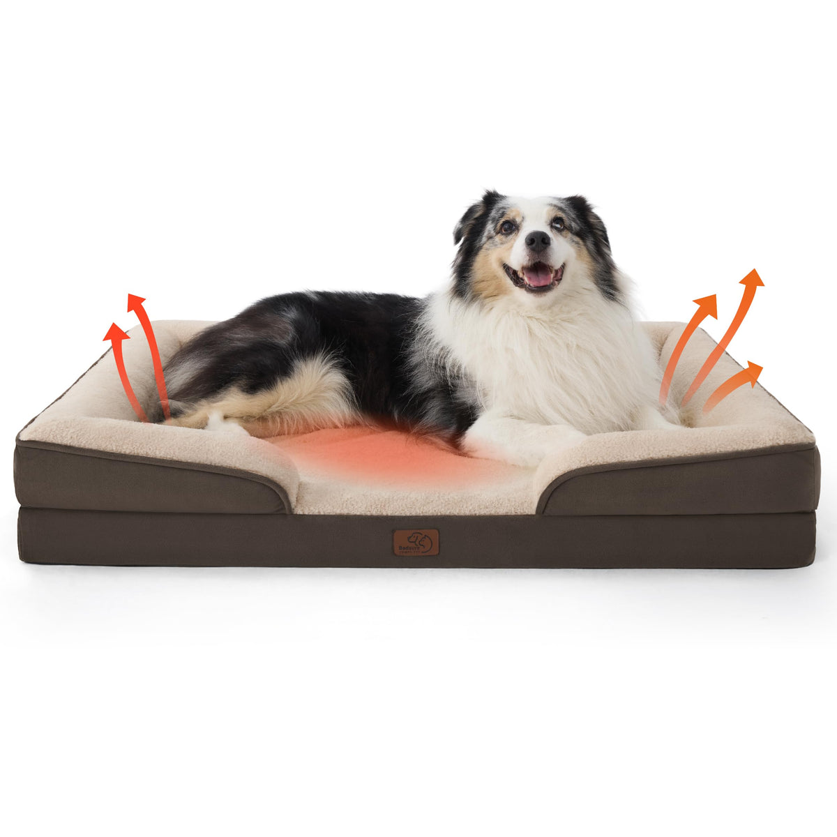 Bolstered Foam Dog Bed