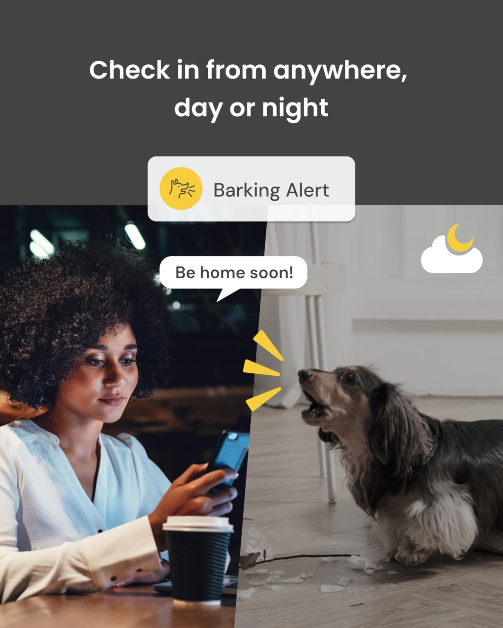 360° Dog Camera with Treat Dispenser