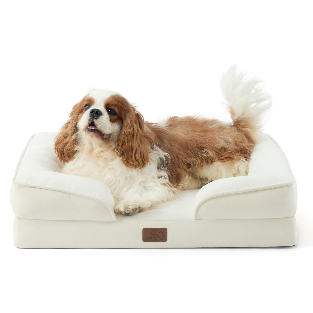 Bolstered Foam Dog Bed