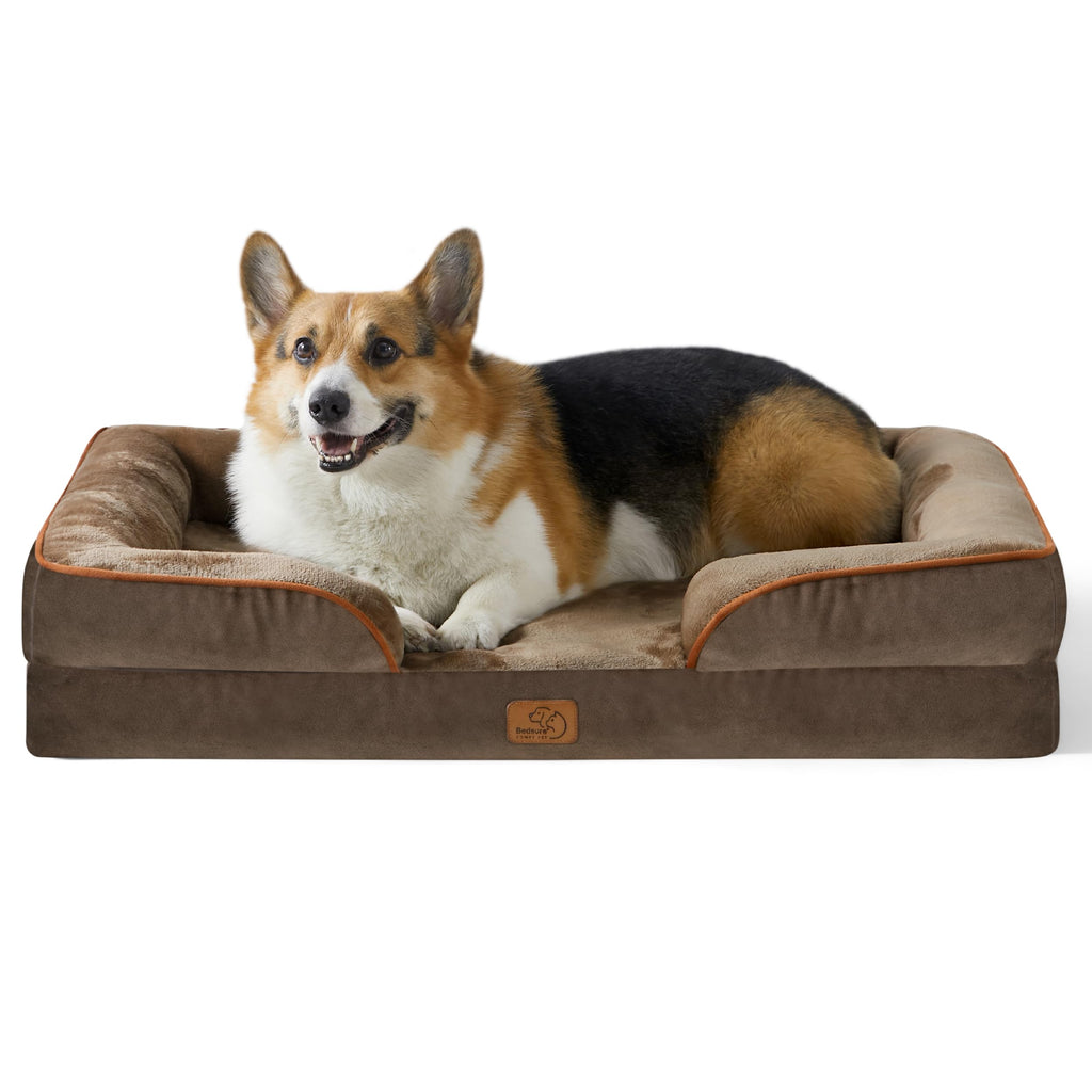Bolstered Foam Dog Bed