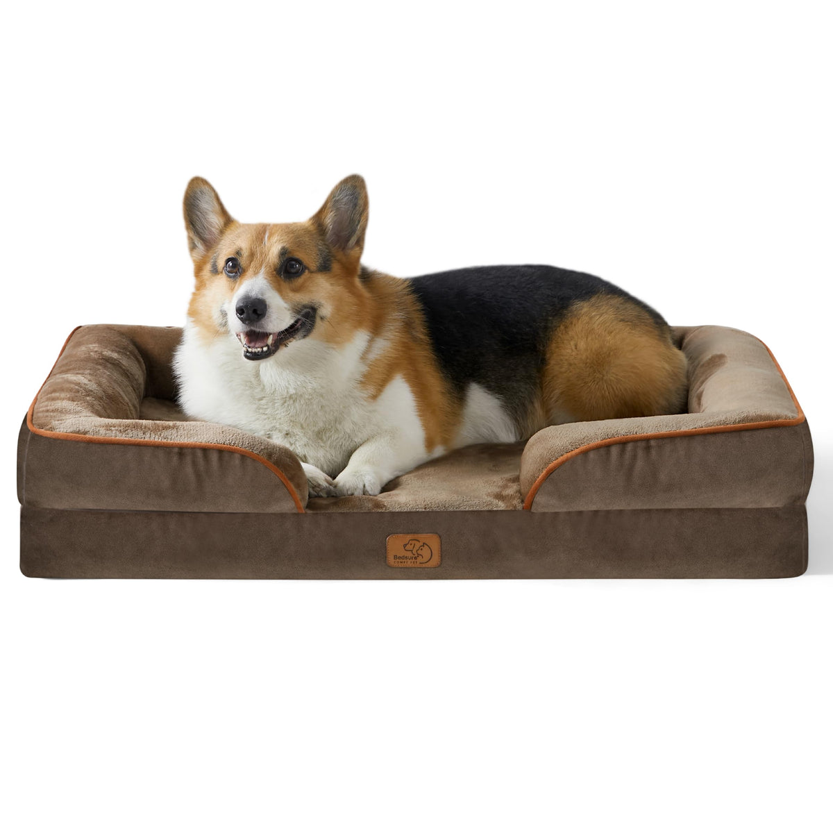 Bolstered Foam Dog Bed