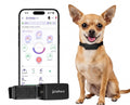 Smart Dog Health & GPS Collar