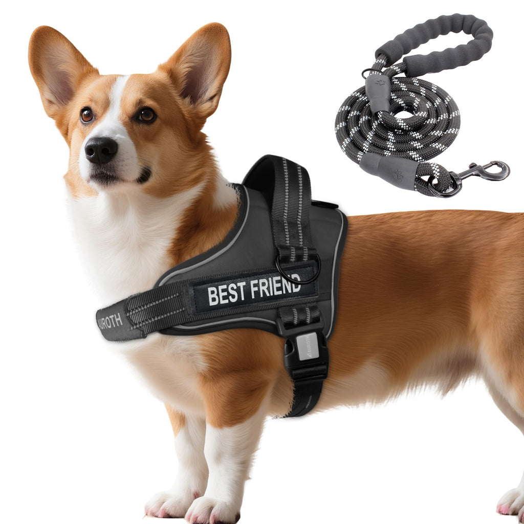 Padded Dog Harness & Leash Set