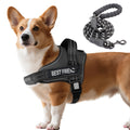 Padded Dog Harness & Leash Set