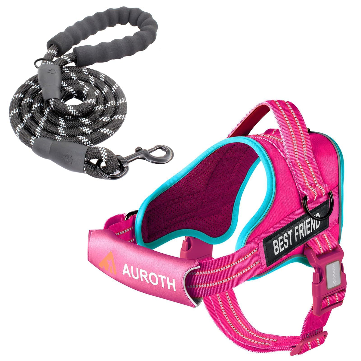 Padded Dog Harness & Leash Set