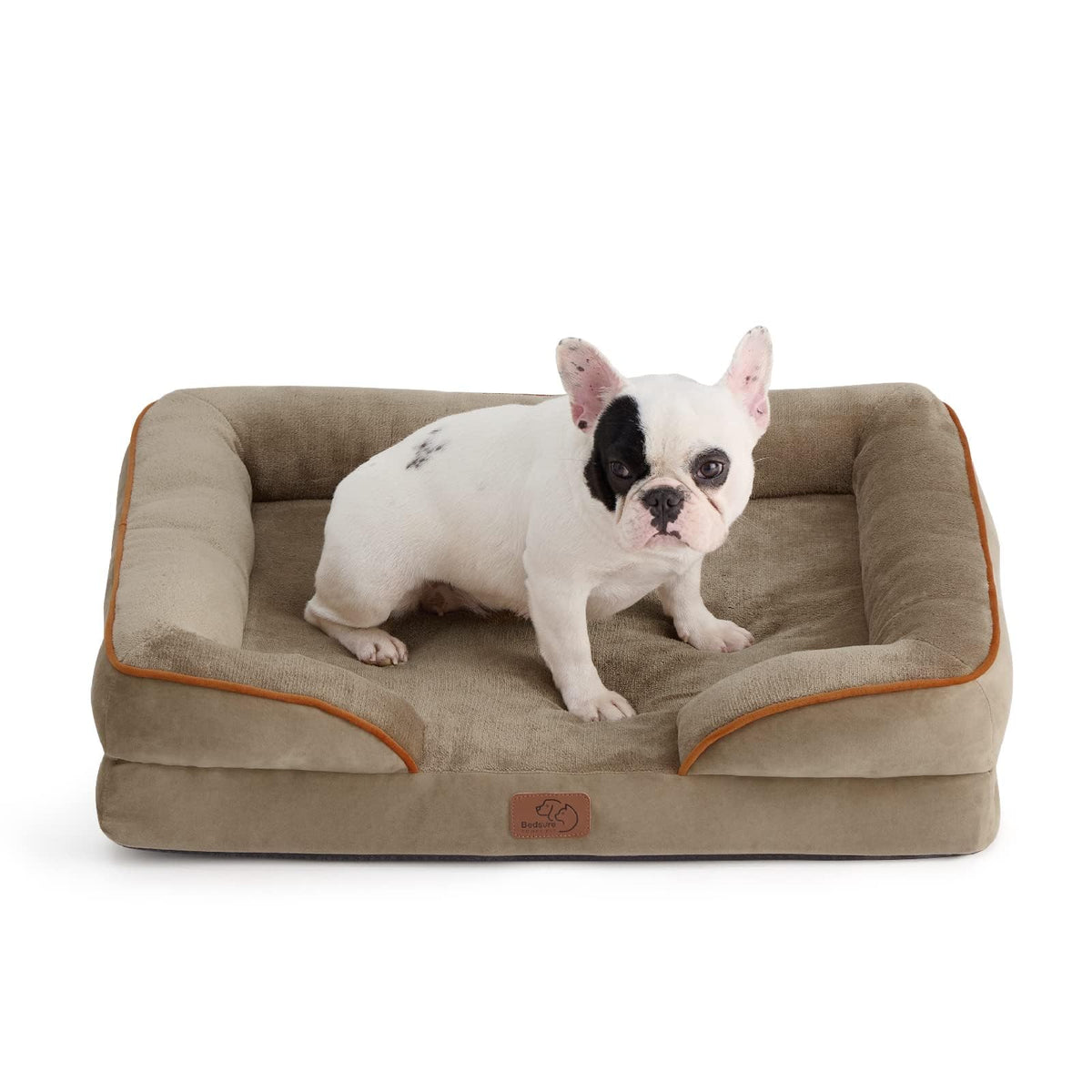 Bolstered Foam Dog Bed