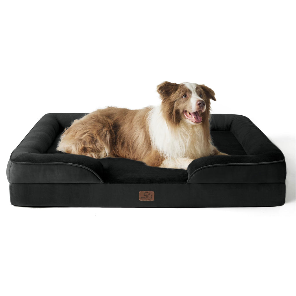 Bolstered Foam Dog Bed