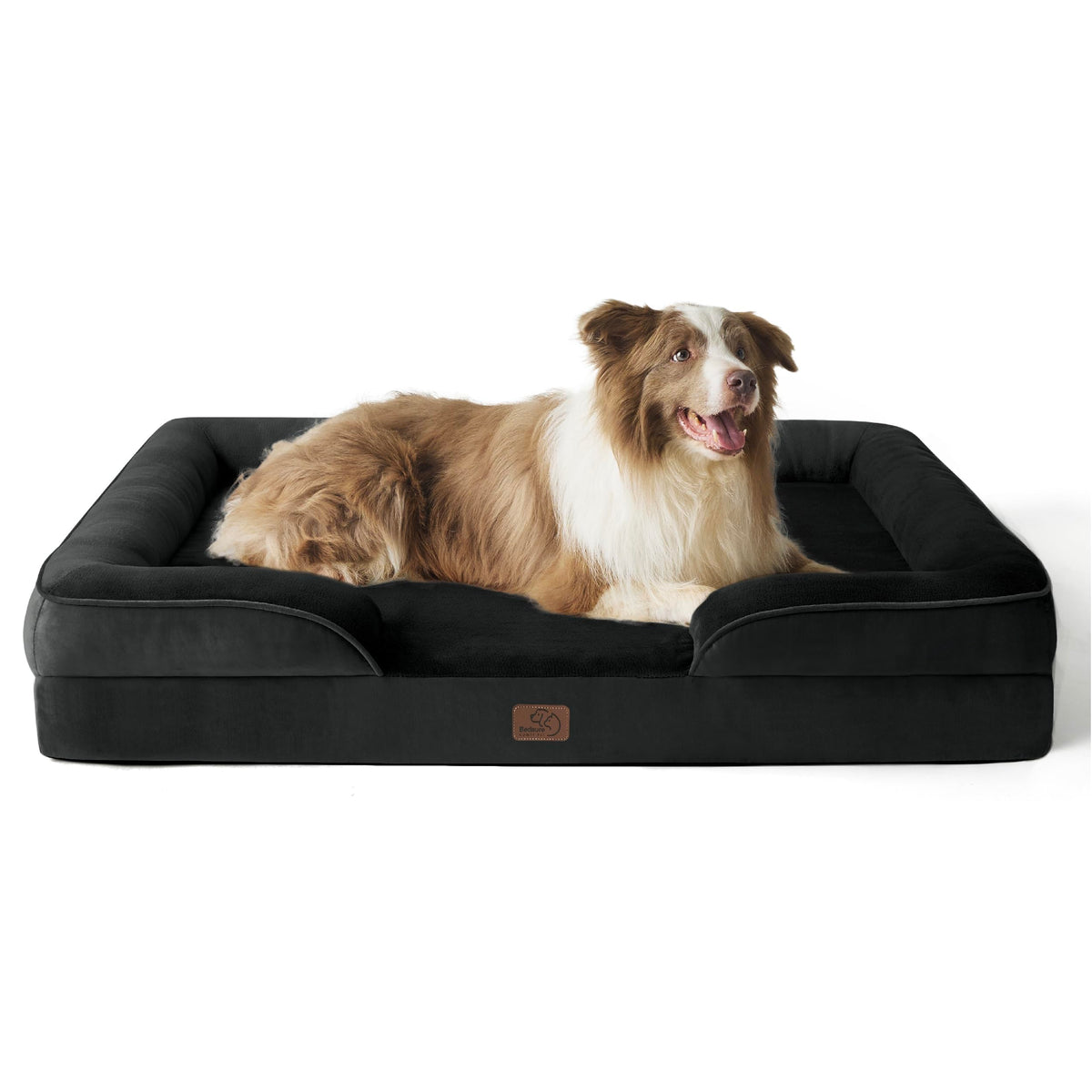 Bolstered Foam Dog Bed