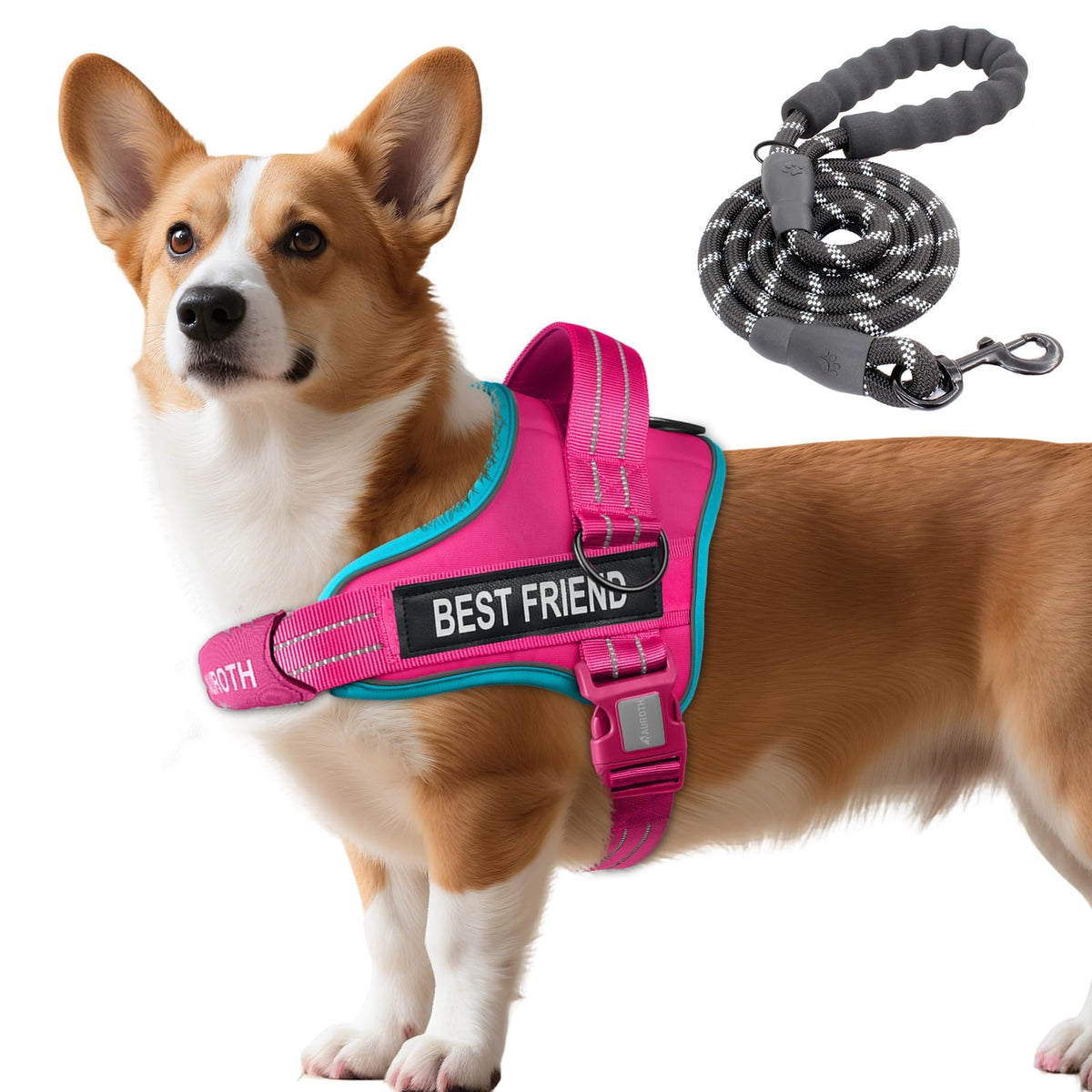 Padded Dog Harness & Leash Set