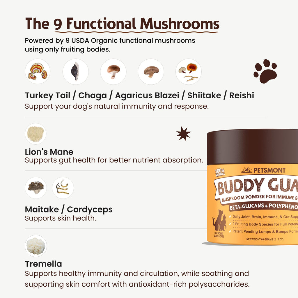 Mushroom Blend Pet Supplement