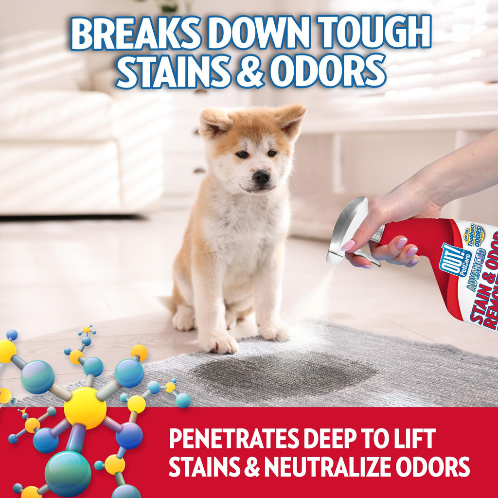 Pet Stain & Odor Remover Spray
