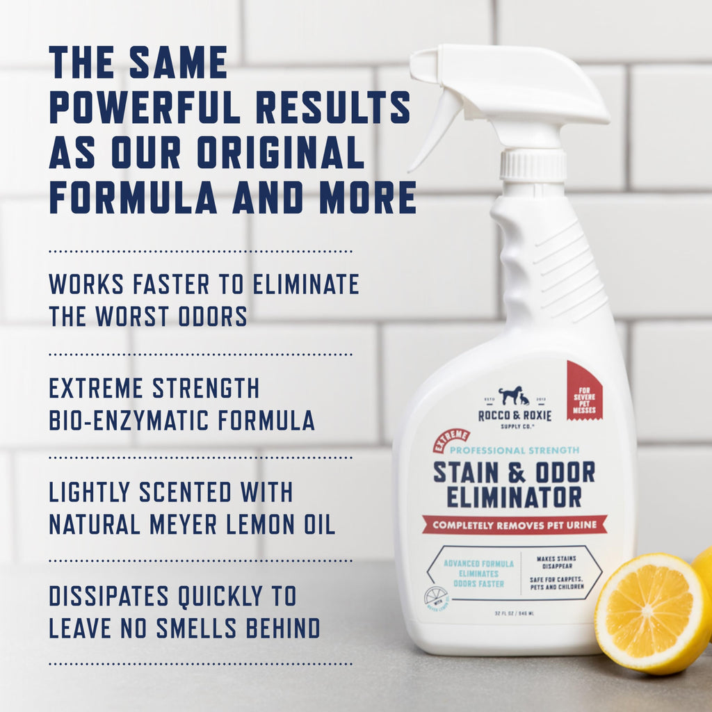 Enzyme Pet Stain & Odor Cleaner