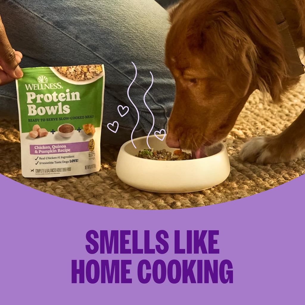 Chicken & Grain Wet Dog Food, 6 Pack