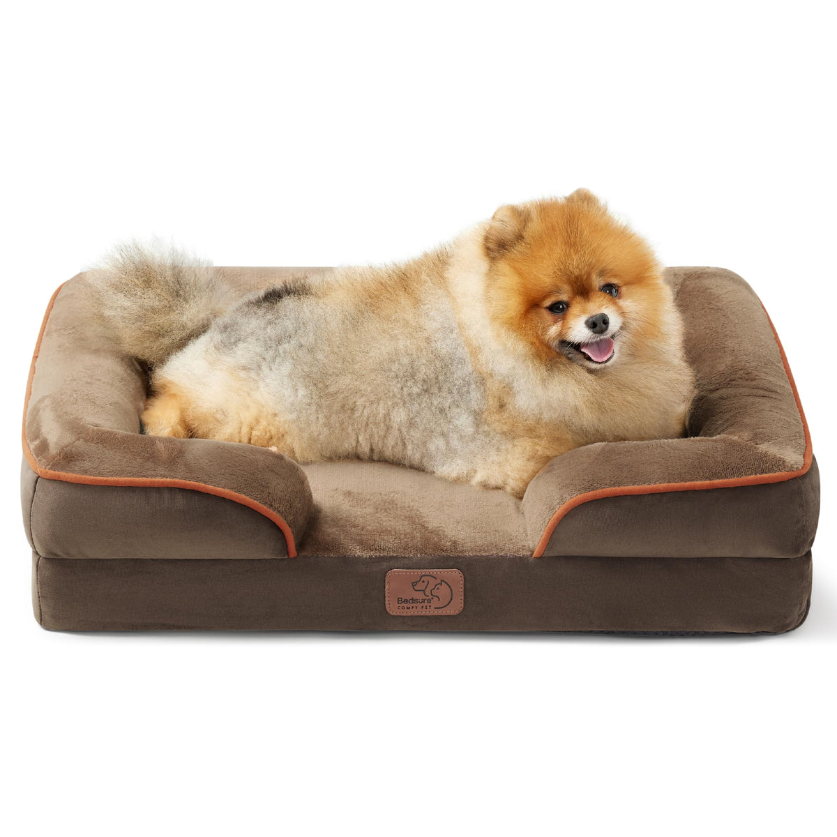 Bolstered Foam Dog Bed