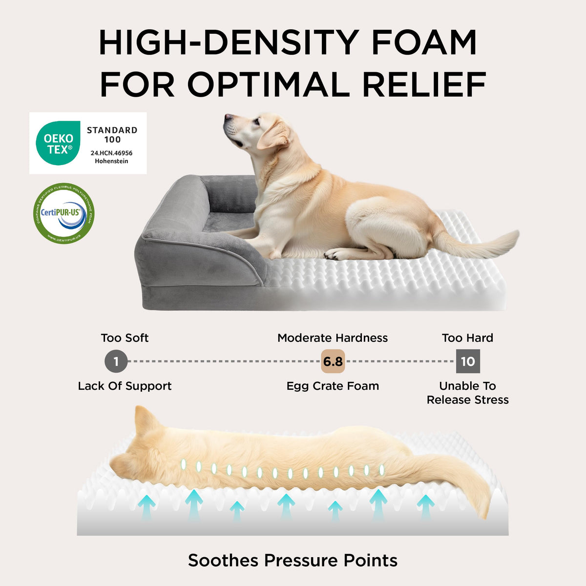 Bolstered Foam Dog Bed