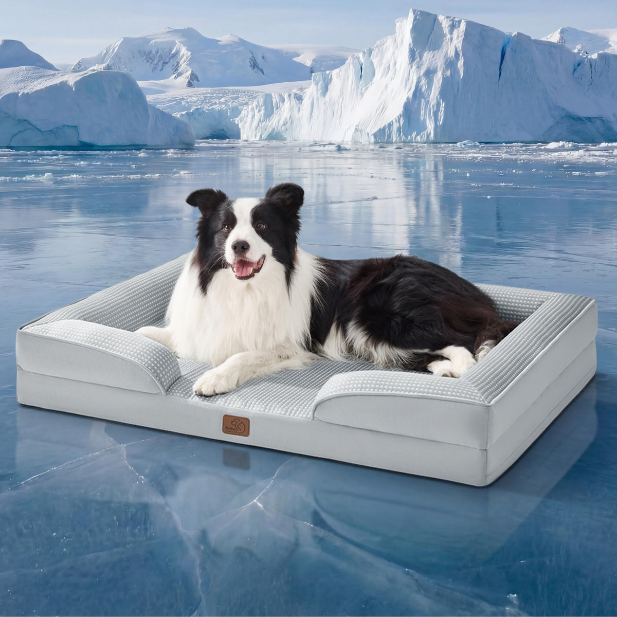 Bolstered Foam Dog Bed
