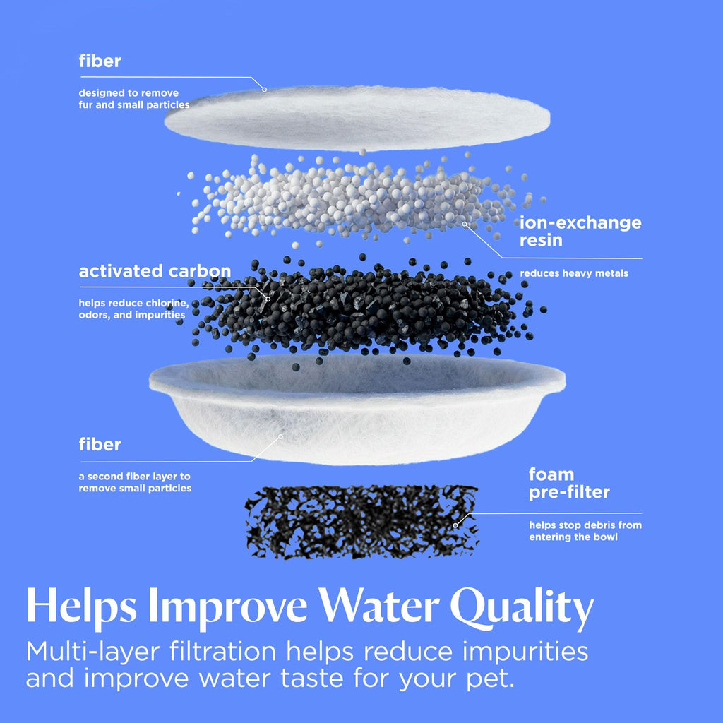 Cat Water Fountain & Filter Options