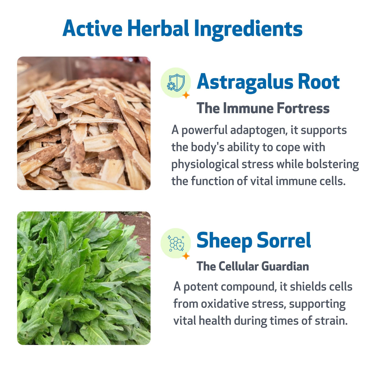Herbal Dog Wellness Supplement