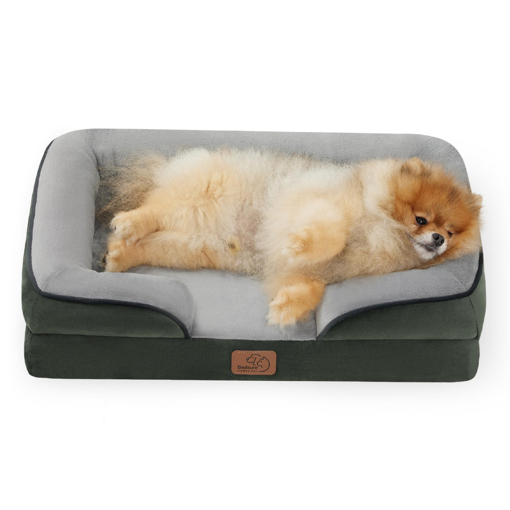Bolstered Foam Dog Bed