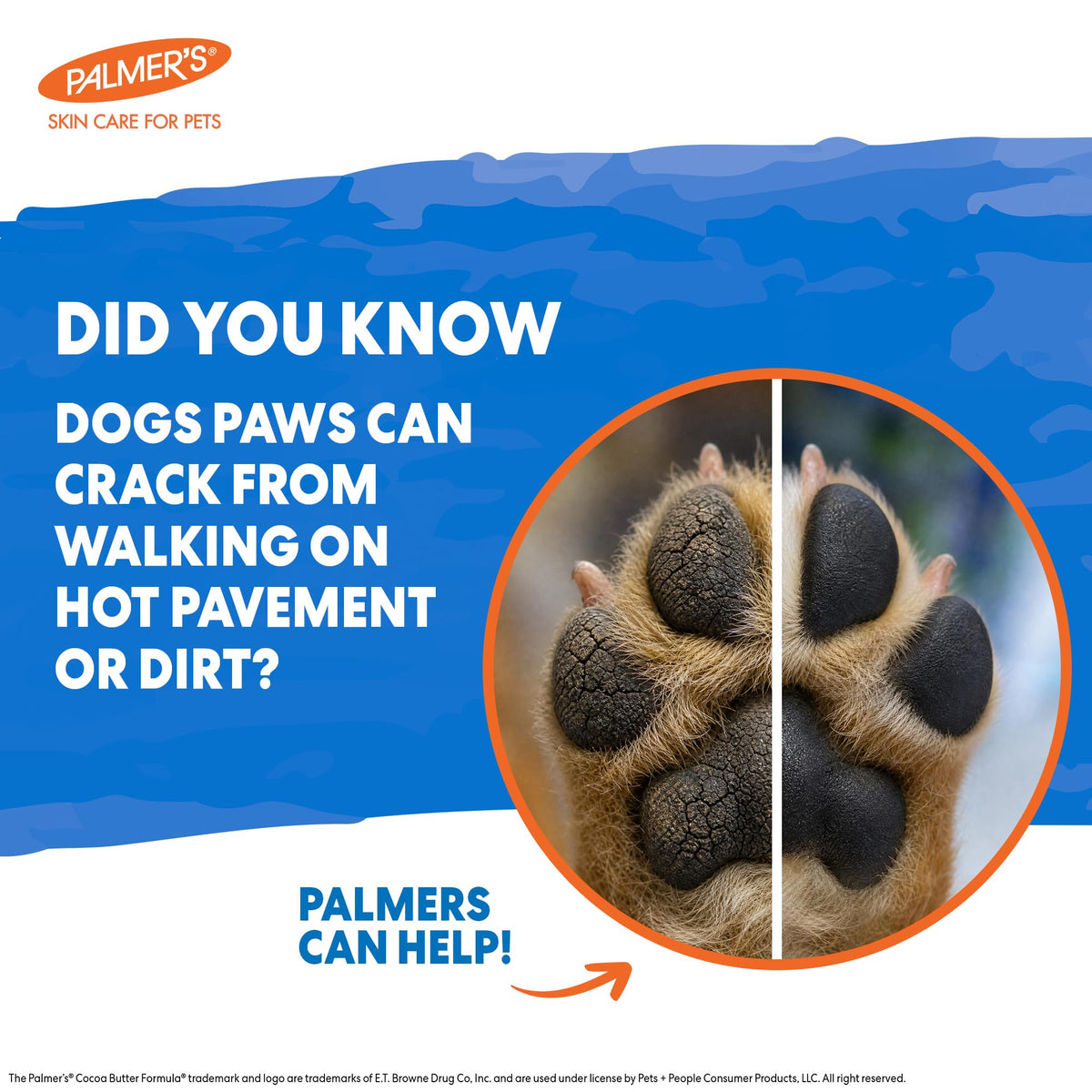 Fragrance-Free Pet Skin Lotion
