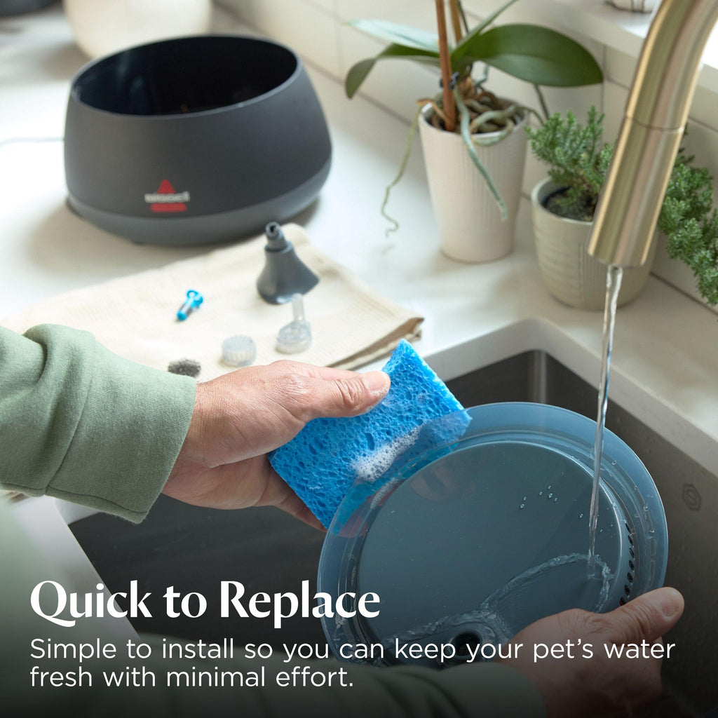 Cat Water Fountain & Filter Options