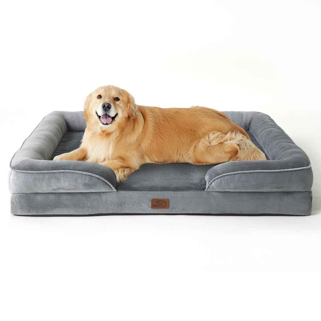 Bolstered Foam Dog Bed