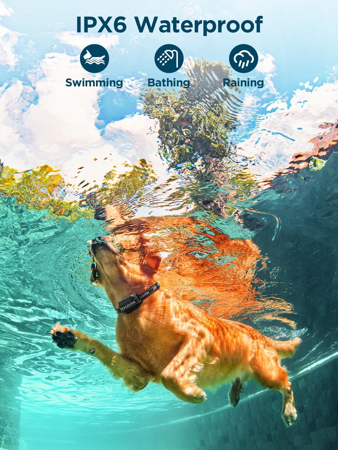 Wireless GPS Dog Fence Collar