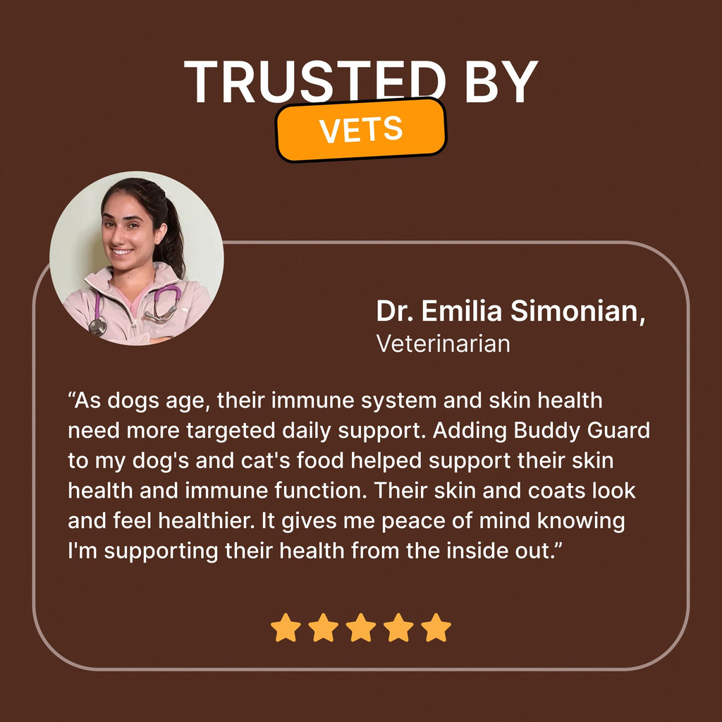 Mushroom Blend Pet Supplement