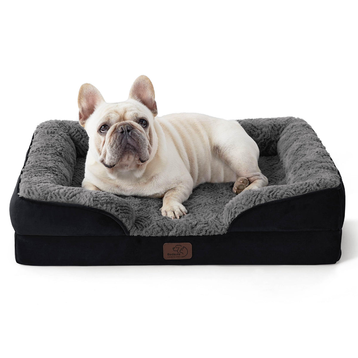 Bolstered Foam Dog Bed