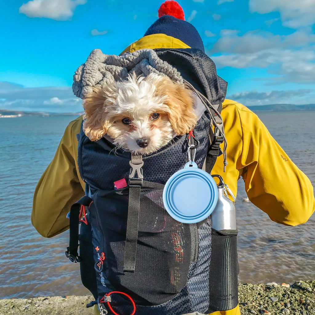Collapsible Silicone Travel Bowls