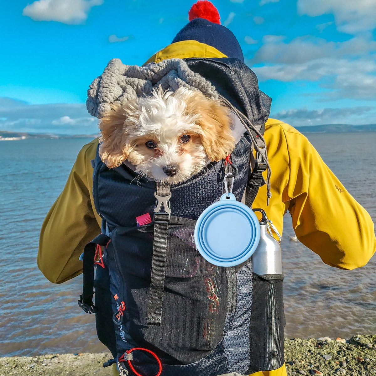 Collapsible Silicone Travel Bowls