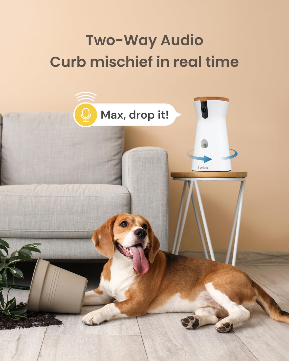 360° Dog Camera with Treat Dispenser