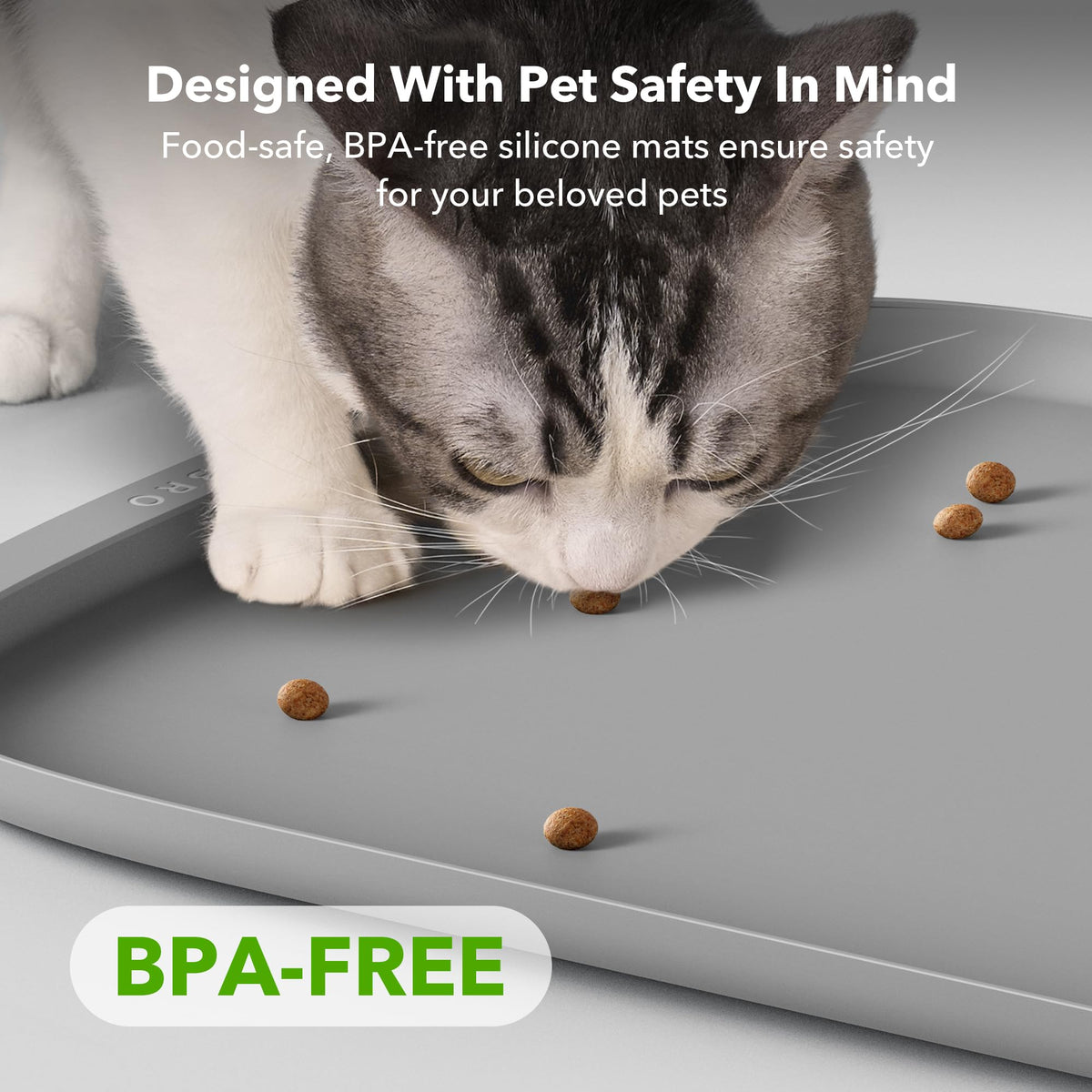 Camera Pet Feeder & Accessories